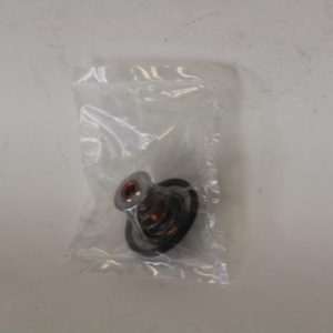 Thermostat RS 500, 82 degree