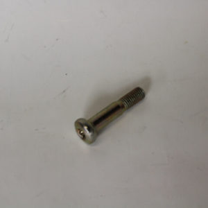 Lower Arm Pinch bolt