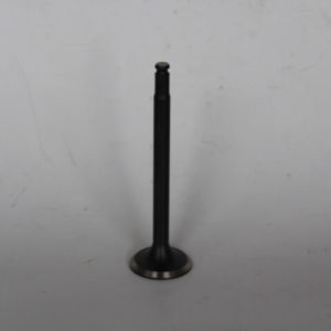 Valve YB exhaust  STD