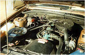image (1)