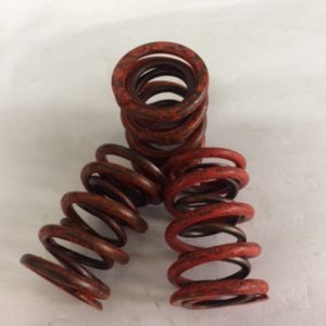 Valve Spring Set YB Double