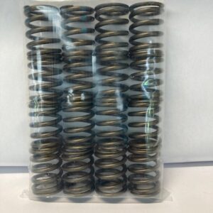 Valve Spring Standard Set YB